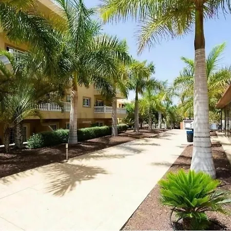 Friendly Palm-mar